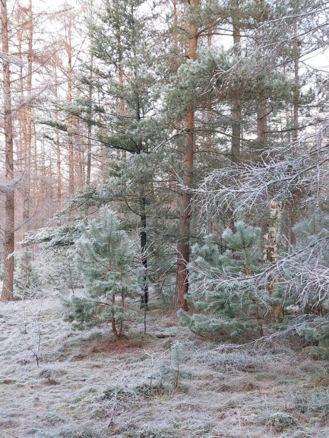 Natuur, Comfort, Rust, mooie omgeving  Putten Buitenkant foto