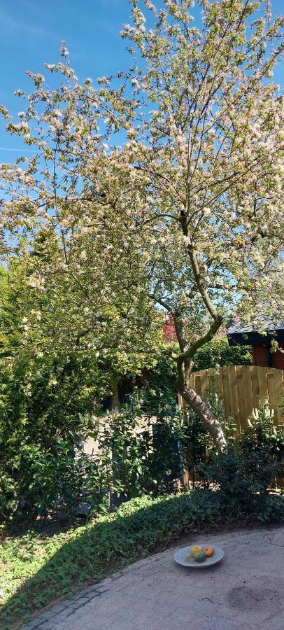 Natuur, Comfort, Rust, mooie omgeving  Putten Buitenkant foto